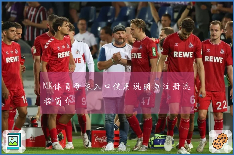 MK体育登录入口使用说明与注册流程简介
